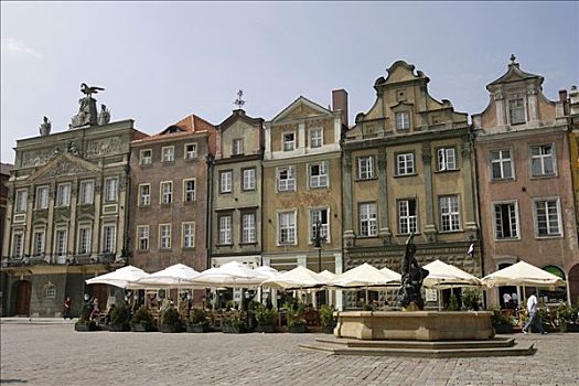 历史,老,建筑,波兹南,波兰