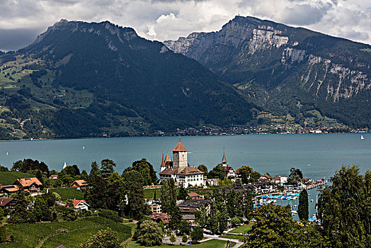 风景,城堡,湖,伯恩,瑞士