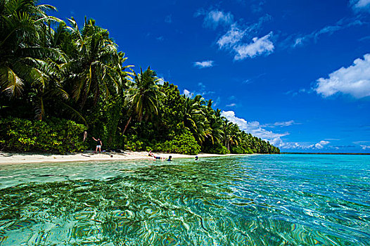 白沙滩,青绿色,水,蚂蚁,环礁,密克罗尼西亚,大洋洲