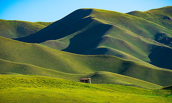 中国新疆巴音布鲁克草原