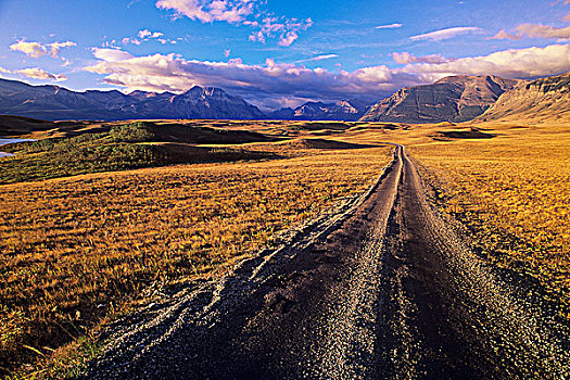 道路,山麓,落基山脉,艾伯塔省,加拿大