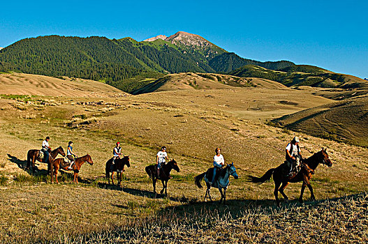 中亚,吉尔吉斯斯坦,省,山谷,骑马,旅游,道路,跋涉,团队