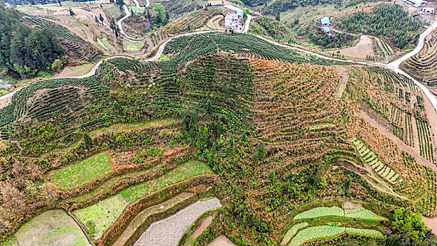 重庆酉阳,青山雾漫别样美