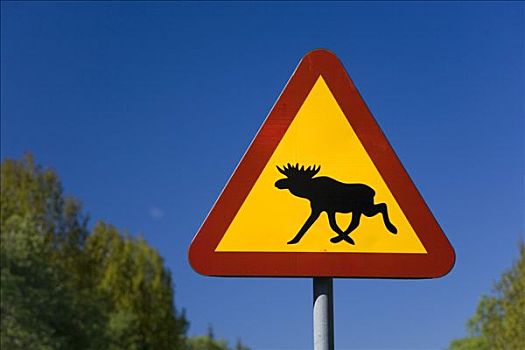 驼鹿,警告标识,瑞典,斯堪的纳维亚,欧洲
