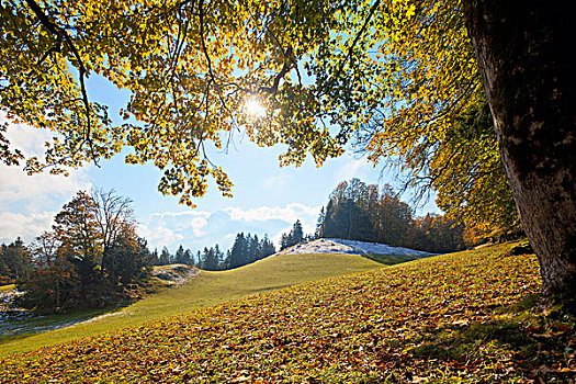 秋日风光,贝希特斯加登地区,巴伐利亚,德国