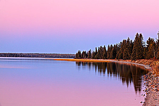 清晰,湖,海岸线,黎明,晚秋,赖丁山国家公园,曼尼托巴,加拿大