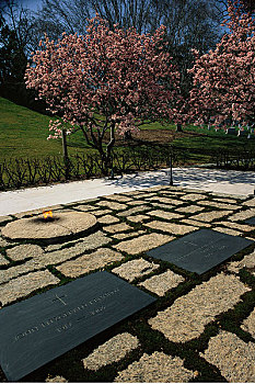 墓地,阿灵顿国家公墓,华盛顿,美国