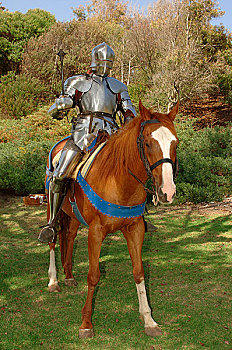 15世纪,英国,拿着,骑马