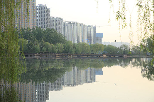 山东省菏泽市,牡丹之都的清晨,干净整洁文明有序