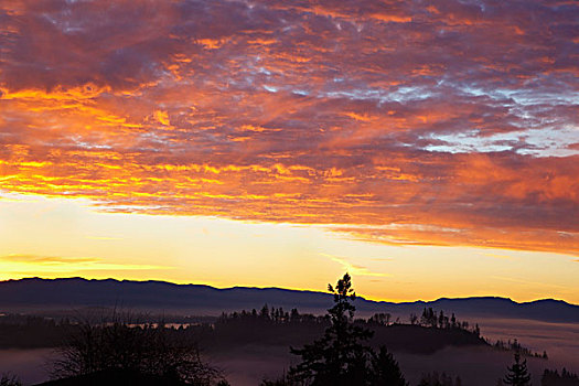 日出,雾,俯视,胡德山,俄勒冈,美国