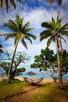 斐济,胜地,水疗,珊瑚海岸,维提岛