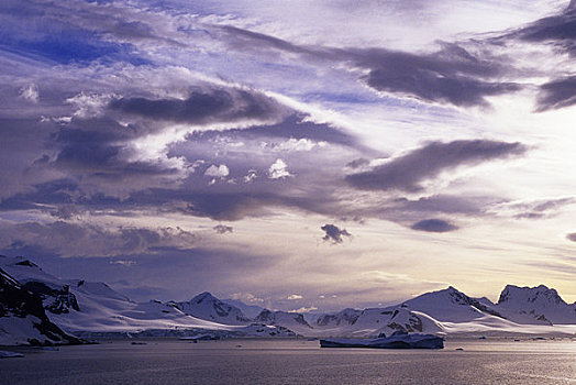 南极,半岛,区域,夜光