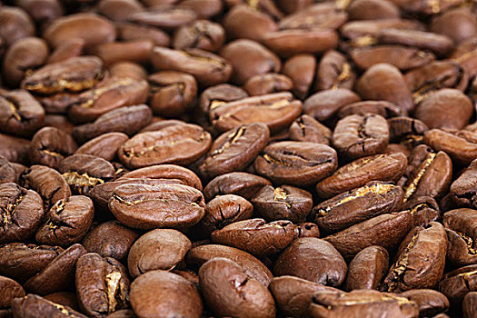 大,阿拉伯咖啡,咖啡豆,特写,照片