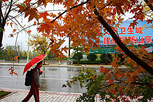 下雨街景