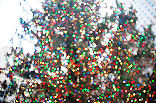 模糊,亮灯,圣诞树