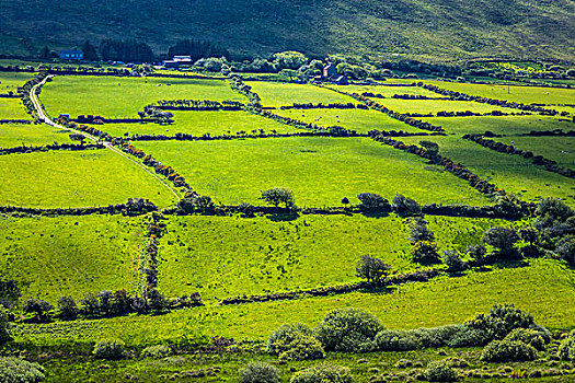 景色,俯视,农田,靠近,凯瑞郡,爱尔兰