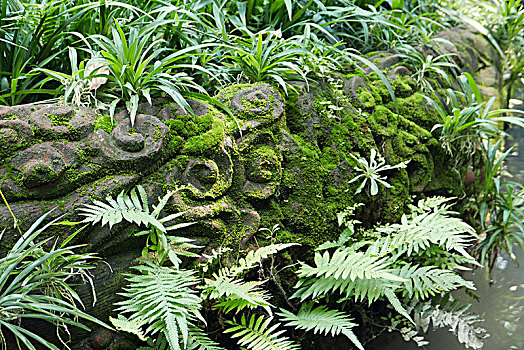 苔藓青苔石雕古老历史