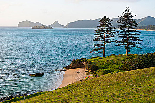 海岸,豪勋爵岛,新南威尔士,澳大利亚,大洋洲