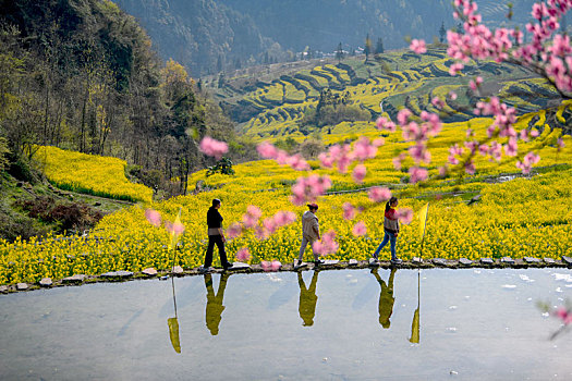 重庆酉阳,三月花海千氹田