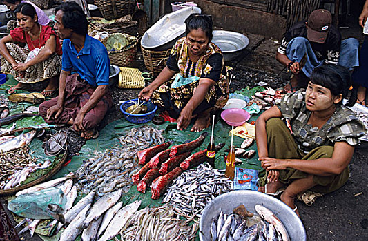鱼,货摊,印度,市场,仰光