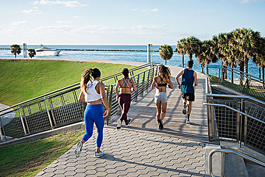三個女人,跑,私人教練,后視圖,南,公園,邁阿密海灘,佛羅里達,美國