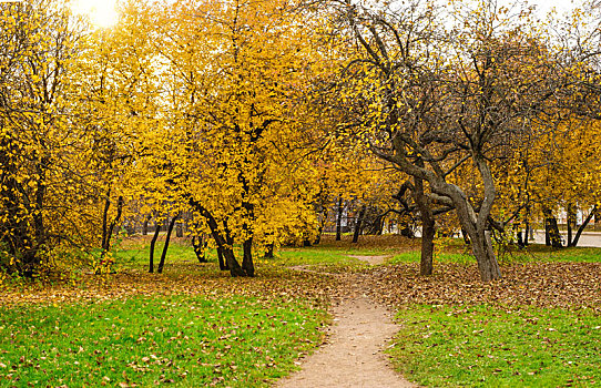 莫斯科公园