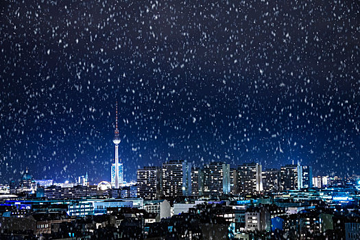 柏林,全景,雪