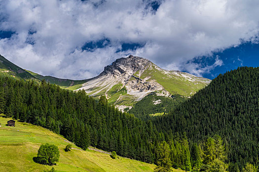 夏天,山景,靠近,达沃斯