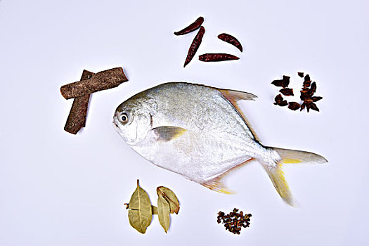 金鲳鱼创意摄影,鱼和调料品