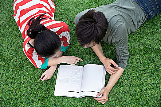 草坪上看书的同学们