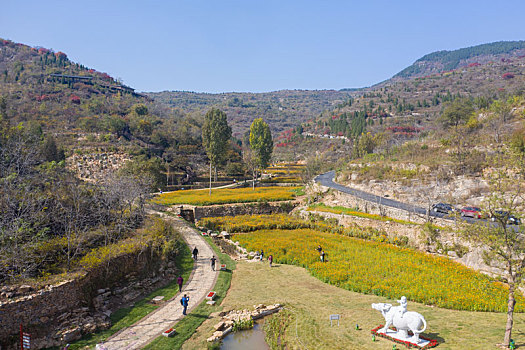 航拍济南南部山区红叶