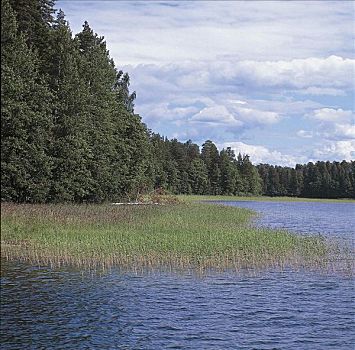 河,芬兰,斯堪的纳维亚,欧洲