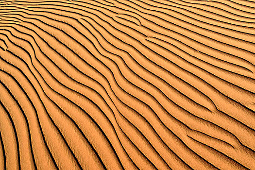 沙子,波纹,纹理,沙丘,阿杰尔高原,撒哈拉沙漠,阿尔及利亚,非洲