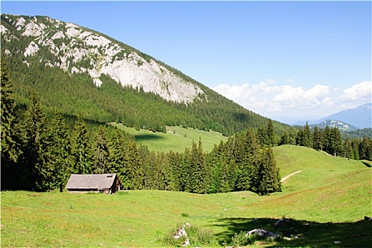 老,木头,小屋,喀尔巴阡山脉,松树