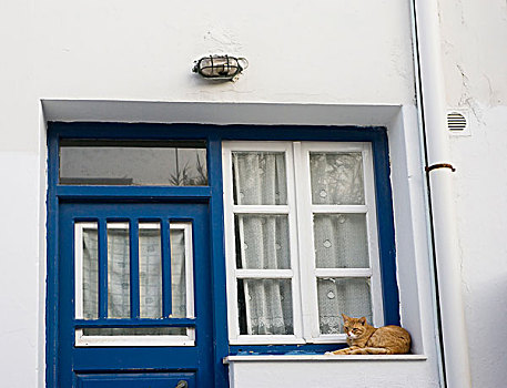 希腊,米克诺斯岛,橙色,虎斑猫,休息,石台,靠近,蓝色,门,白色,窗户,帘