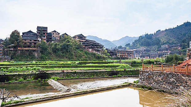 阶梯状,稻田,房子,乡村