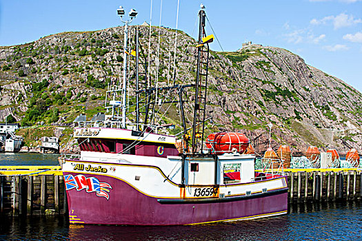 渔船,停靠,港口,信号,山,背景,纽芬兰,加拿大