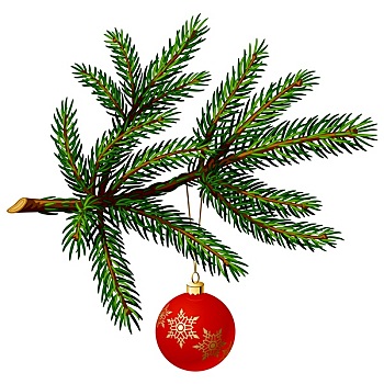松树,枝条,圣诞球