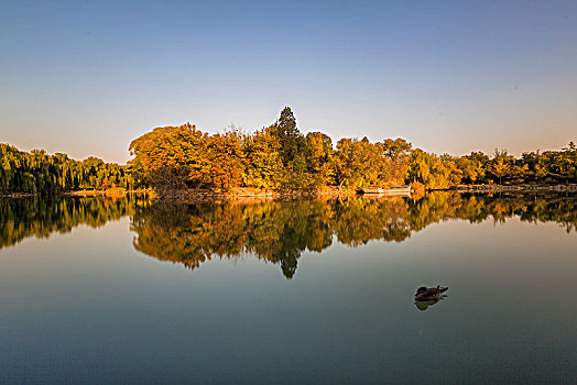 北京大学