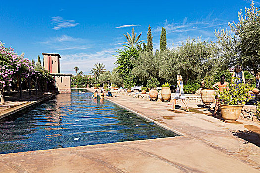 乡村俱乐部,酒店,复杂,近郊,马拉喀什,摩洛哥,游泳池