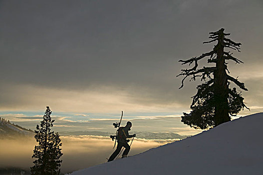 一个,男人,雪鞋,清新,粉状雪,滑雪板,背影