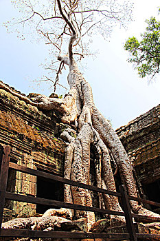 柬埔寨暹粒吴哥窟巴普昂寺