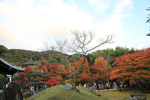 京都