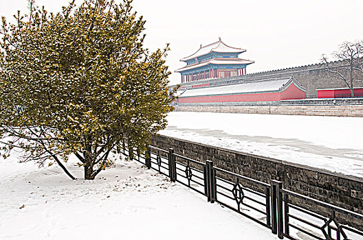 故宫冬天的景色