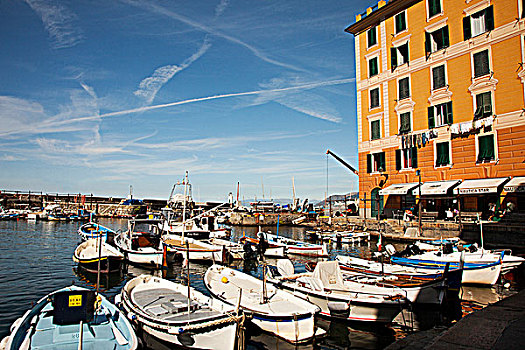 渔船,码头,卡莫利,利古里亚,意大利