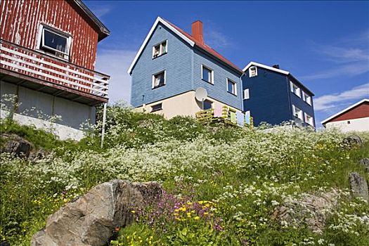 仰视,房子,霍宁斯沃格,港口,岛屿,北角地区,挪威