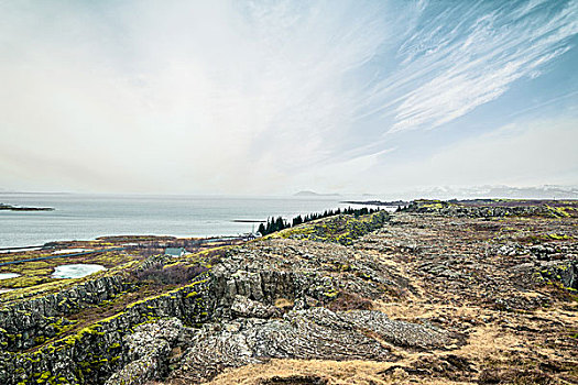 风景,悬崖,海洋,国家公园,冰岛
