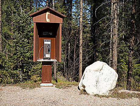 户外,付费电话,靠近,徒步旅行,碧玉国家公园,艾伯塔省,加拿大