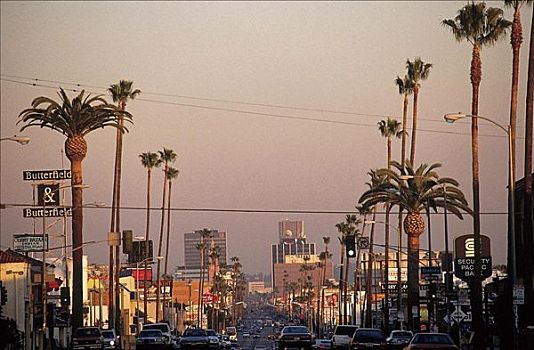 日落,大道,晚间,高峰时间,棕榈树,好莱坞,洛杉矶,加利福尼亚,美国,北美