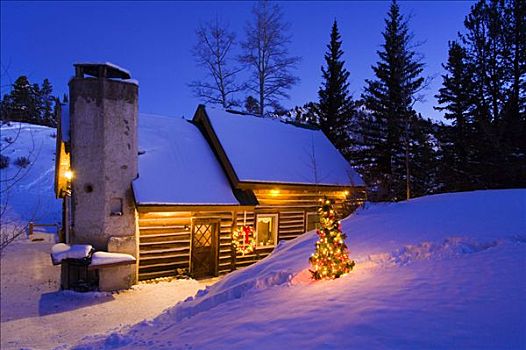 假日,装饰,小屋,圣诞树,院子,靠近,科罗拉多,落基山脉,冬天
